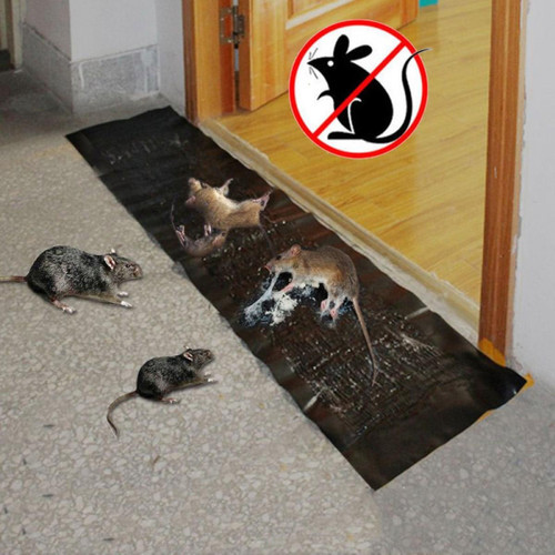 Wewoo - Anti insectes Répulsifs 2 souris de piège rat rongeur colle tueur longueur: 1.2m Wewoo - Wewoo